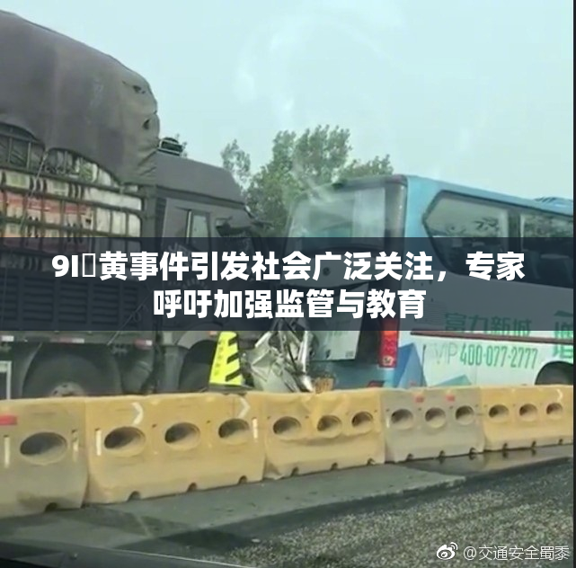 9I婬黄事件引发社会广泛关注，专家呼吁加强监管与教育