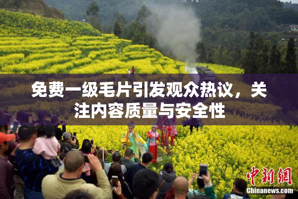 免费一级毛片引发观众热议，关注内容质量与安全性