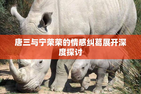 唐三与宁荣荣的情感纠葛展开深度探讨