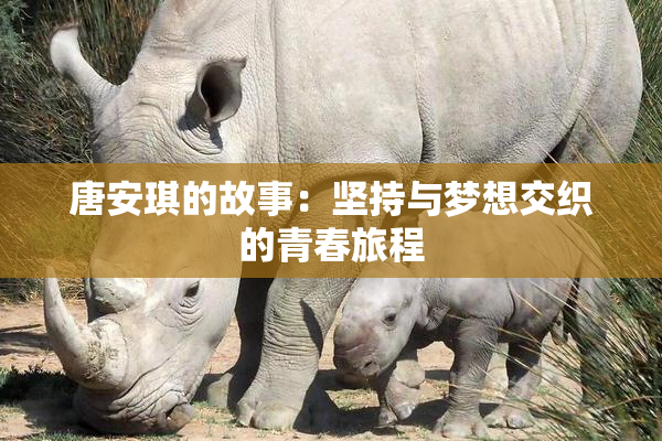 唐安琪的故事：坚持与梦想交织的青春旅程