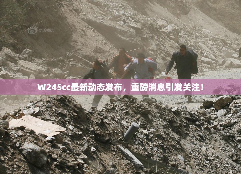 W245cc最新动态发布，重磅消息引发关注！