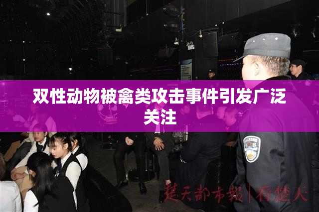 双性动物被禽类攻击事件引发广泛关注