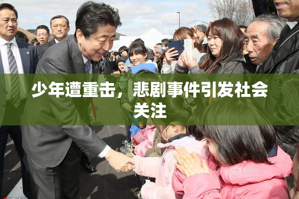 少年遭重击，悲剧事件引发社会关注