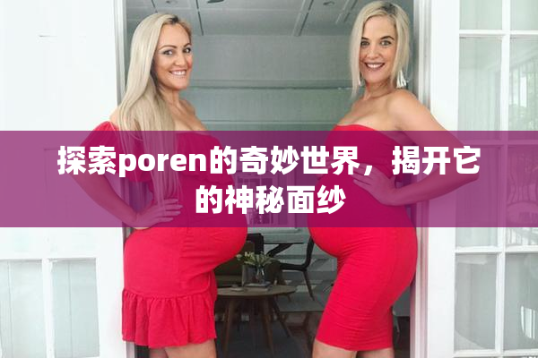 探索poren的奇妙世界，揭开它的神秘面纱