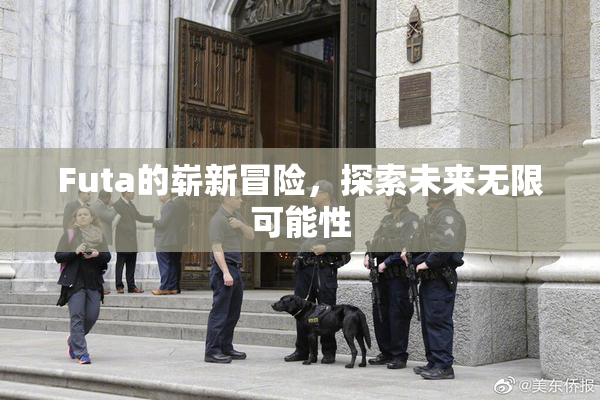 Futa的崭新冒险，探索未来无限可能性