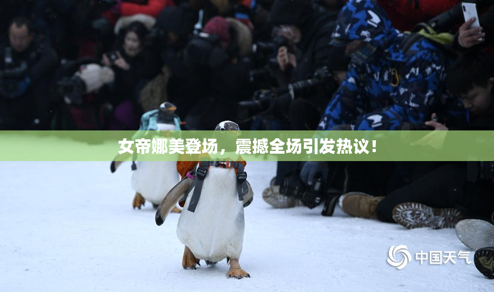 女帝娜美登场，震撼全场引发热议！