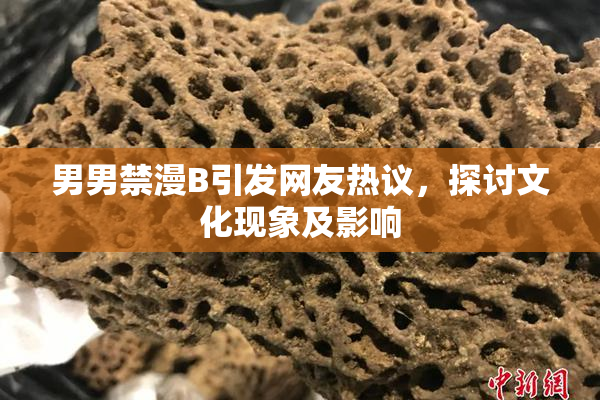 男男禁漫B引发网友热议，探讨文化现象及影响