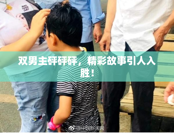 双男主砰砰砰，精彩故事引人入胜！