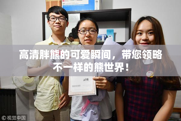 高清胖熊的可爱瞬间，带您领略不一样的熊世界！