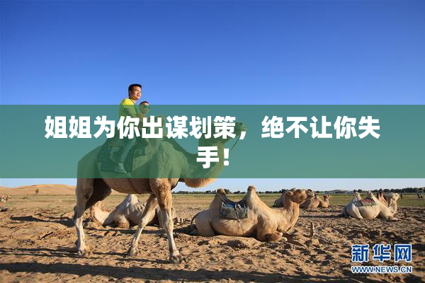 姐姐为你出谋划策，绝不让你失手！