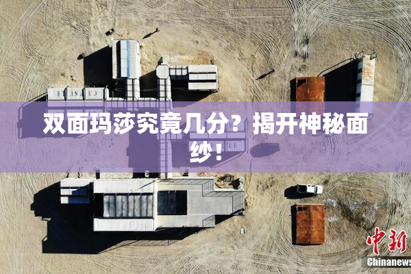 双面玛莎究竟几分？揭开神秘面纱！