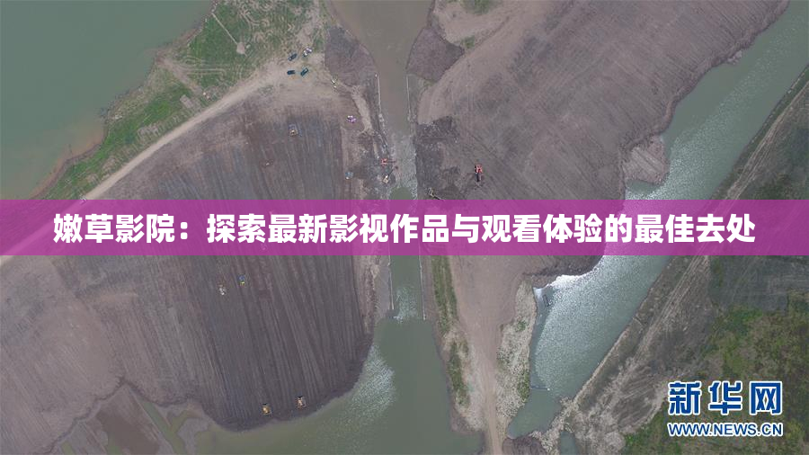 嫩草影院：探索最新影视作品与观看体验的最佳去处