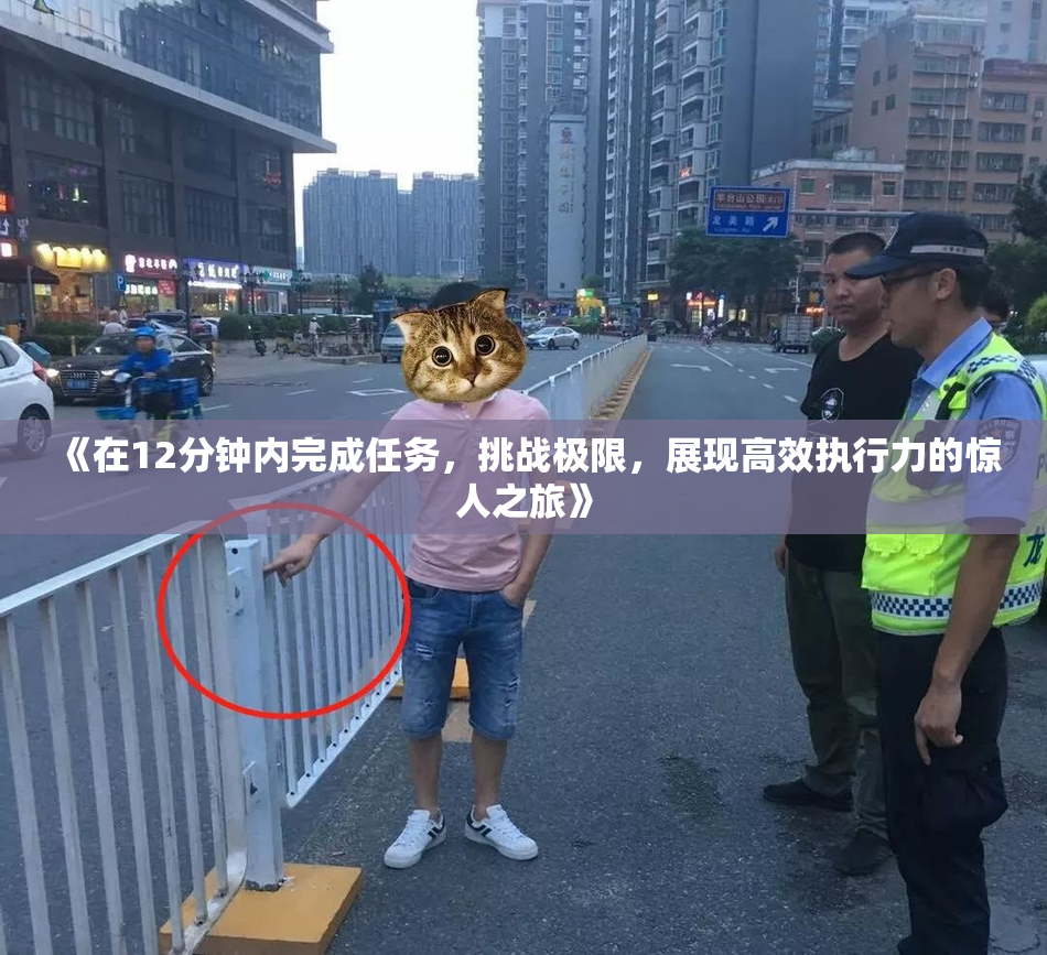 《在12分钟内完成任务，挑战极限，展现高效执行力的惊人之旅》