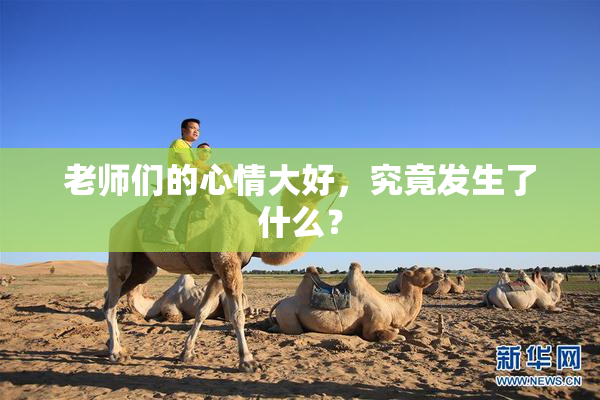 老师们的心情大好，究竟发生了什么？