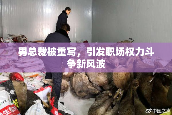 男总裁被重写，引发职场权力斗争新风波