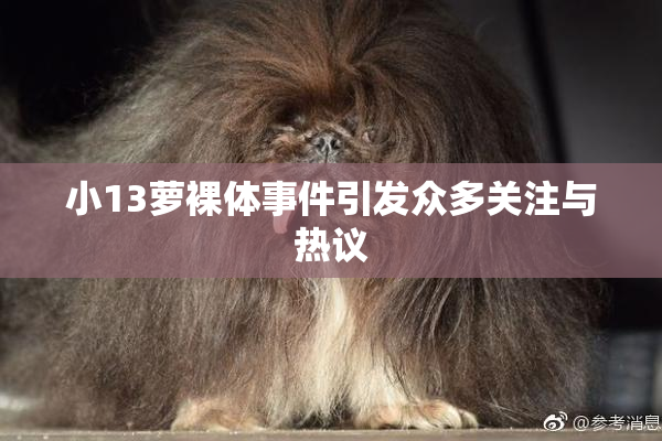 小13萝裸体事件引发众多关注与热议