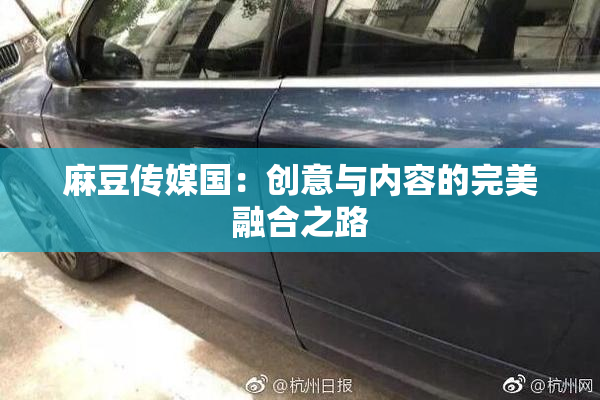 麻豆传媒国：创意与内容的完美融合之路
