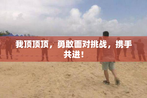 我顶顶顶，勇敢面对挑战，携手共进！