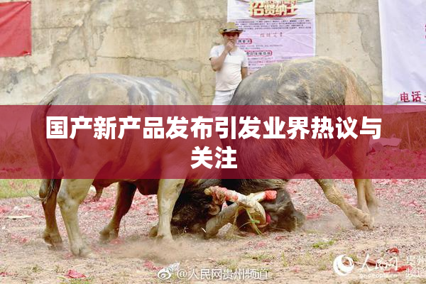 国产新产品发布引发业界热议与关注