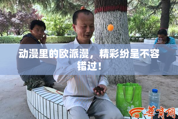 动漫里的欧派漫，精彩纷呈不容错过！