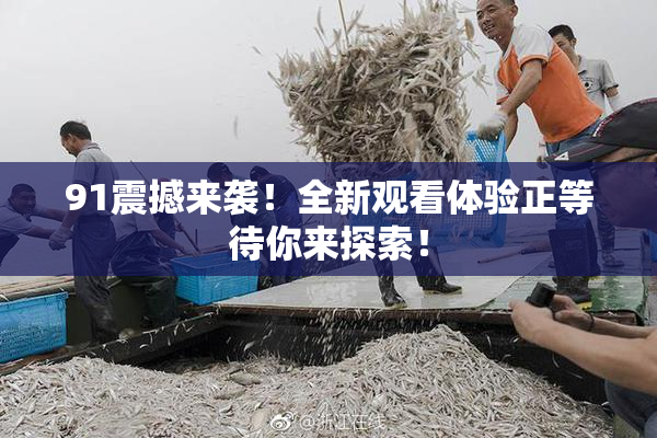 91震撼来袭！全新观看体验正等待你来探索！