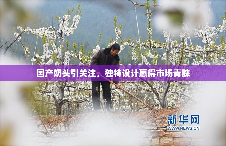 国产奶头引关注，独特设计赢得市场青睐