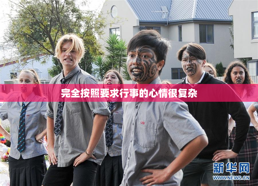 完全按照要求行事的心情很复杂