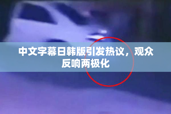 中文字幕日韩版引发热议，观众反响两极化