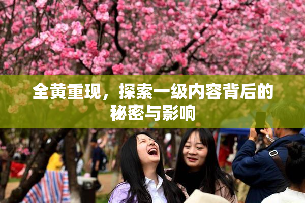 全黄重现，探索一级内容背后的秘密与影响
