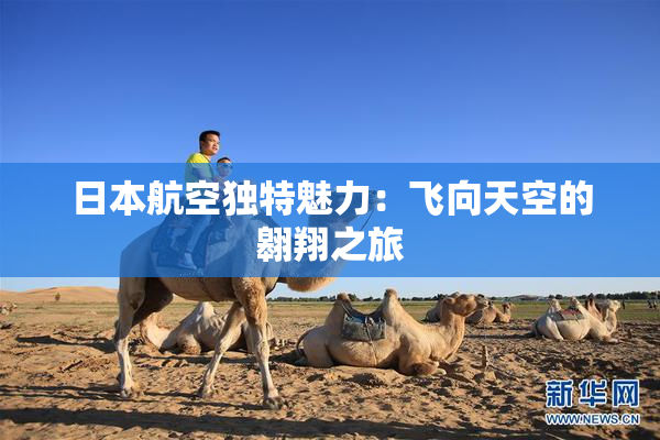 日本航空独特魅力：飞向天空的翱翔之旅