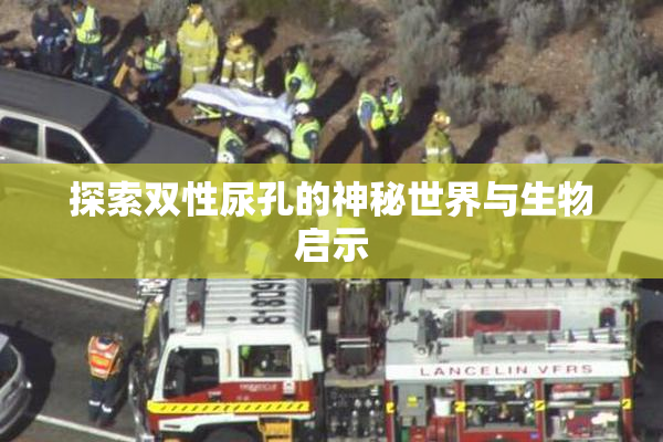 探索双性尿孔的神秘世界与生物启示