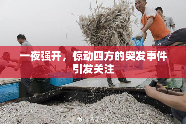 一夜强开，惊动四方的突发事件引发关注
