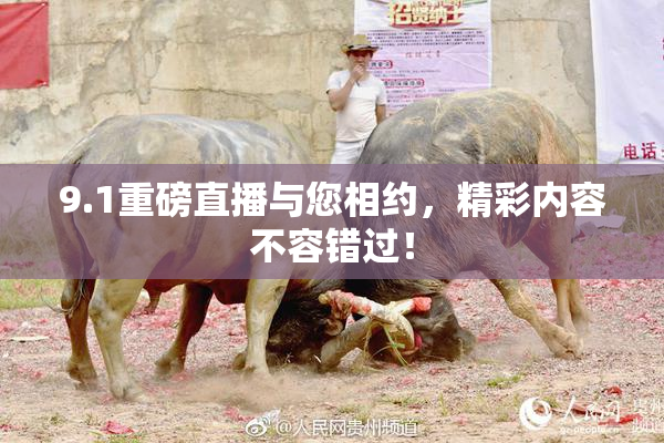 9.1重磅直播与您相约，精彩内容不容错过！