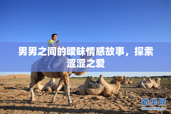 男男之间的暧昧情感故事，探索涩涩之爱
