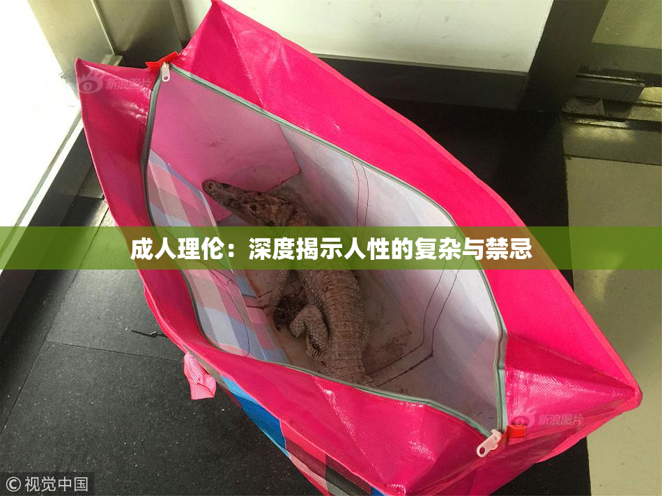 成人理伦：深度揭示人性的复杂与禁忌