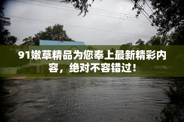 91嫩草精品为您奉上最新精彩内容，绝对不容错过！