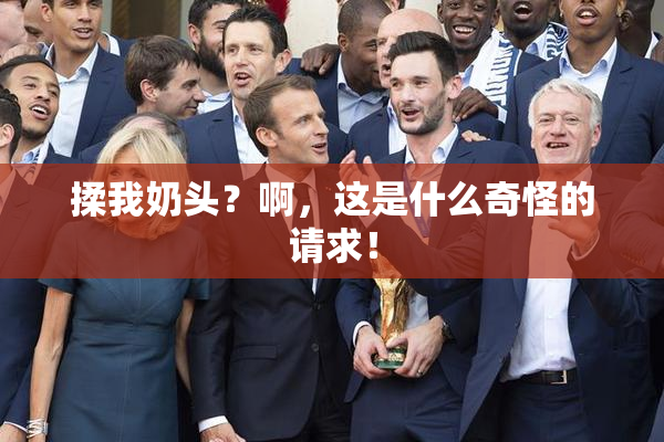 揉我奶头？啊，这是什么奇怪的请求！