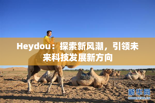 Heydou：探索新风潮，引领未来科技发展新方向