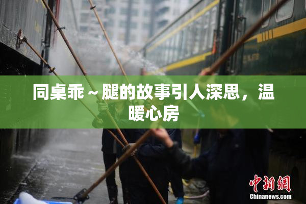 同桌乖～腿的故事引人深思，温暖心房