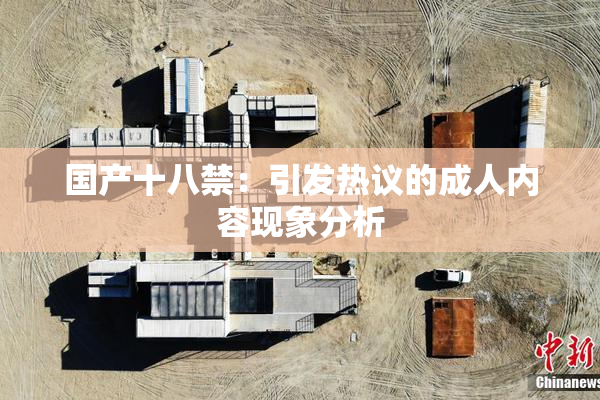 国产十八禁：引发热议的成人内容现象分析