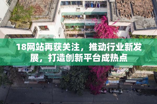 18网站再获关注，推动行业新发展，打造创新平台成热点