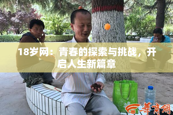 18岁网：青春的探索与挑战，开启人生新篇章