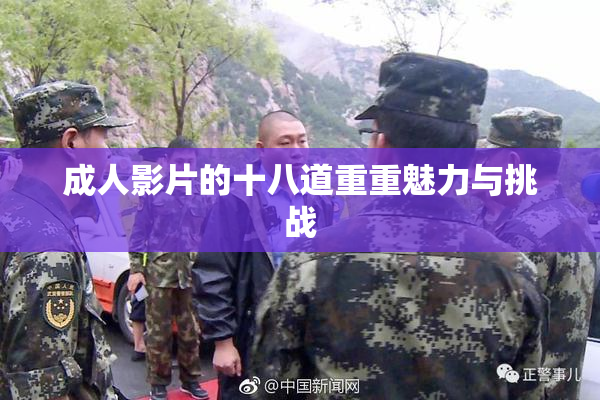 成人影片的十八道重重魅力与挑战