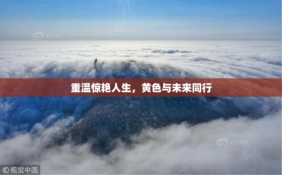 重温惊艳人生，黄色与未来同行