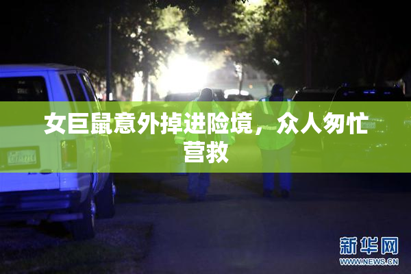 女巨鼠意外掉进险境，众人匆忙营救