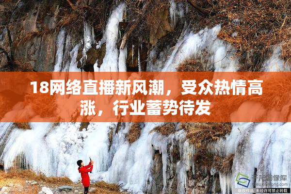 18网络直播新风潮，受众热情高涨，行业蓄势待发