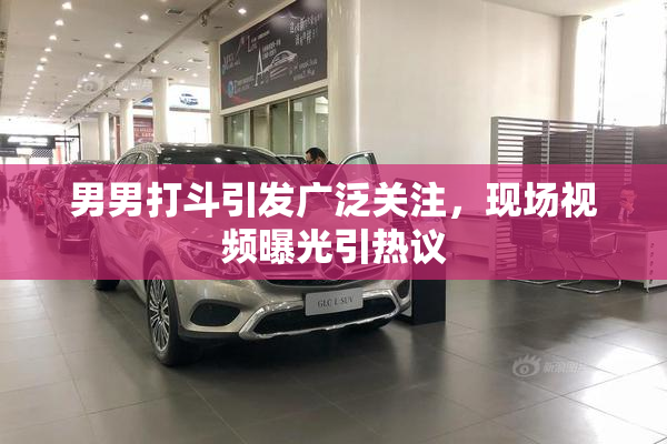 男男打斗引发广泛关注，现场视频曝光引热议