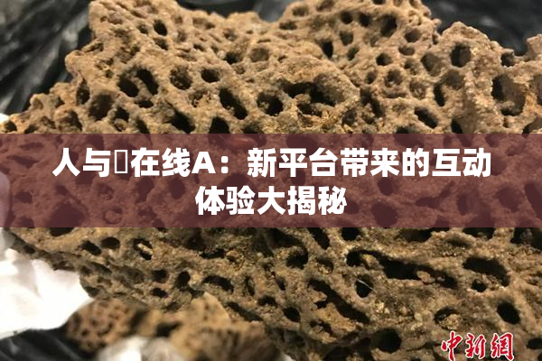 人与嘼在线A：新平台带来的互动体验大揭秘