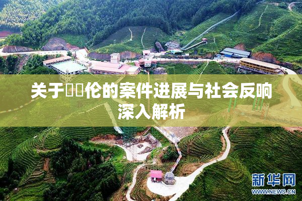 关于強姧伦的案件进展与社会反响深入解析