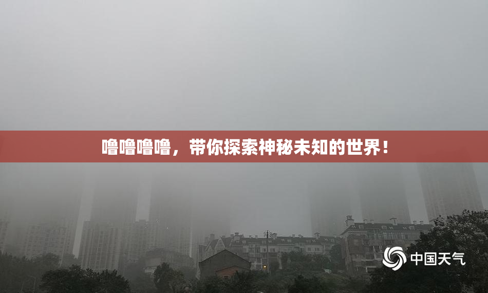 噜噜噜噜，带你探索神秘未知的世界！
